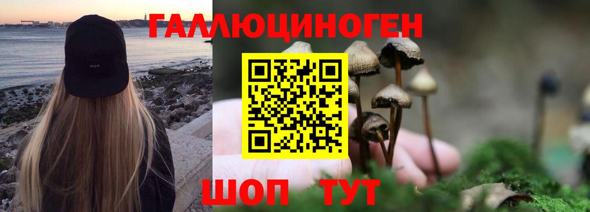 наркошоп  Вход с VPN  Волгоград  Псилоцибиновые грибы ЛСД 