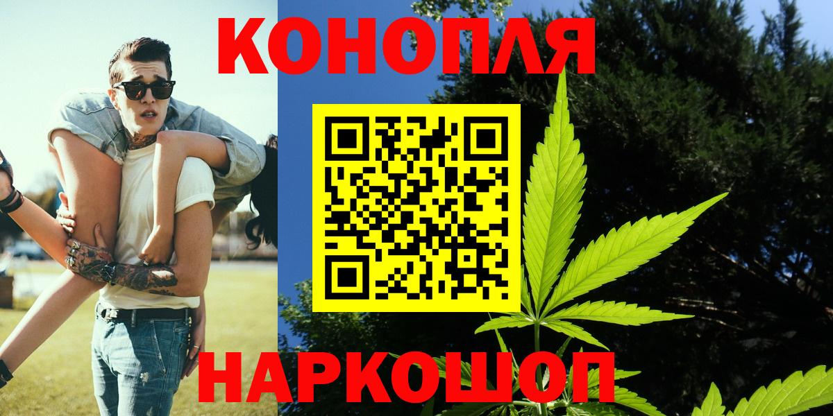 Марихуана конопля Волгоград